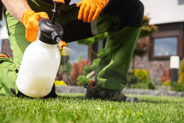 Best Residential Pest Control  in Bonneau Beach, SC