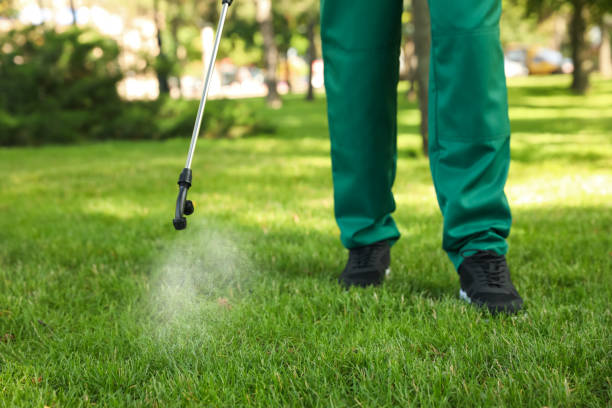 Wasp Removal Services in Bonneau Beach, SC