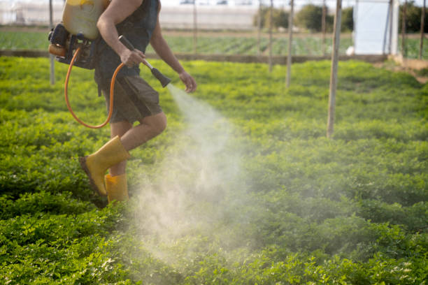 Pest Control Cost in Bonneau Beach, SC