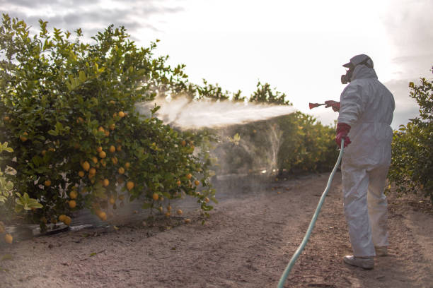 Best Best Pest Control Companies  in Bonneau Beach, SC