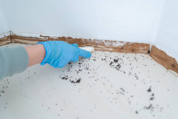 Best Pest Removal Services  in Bonneau Beach, SC